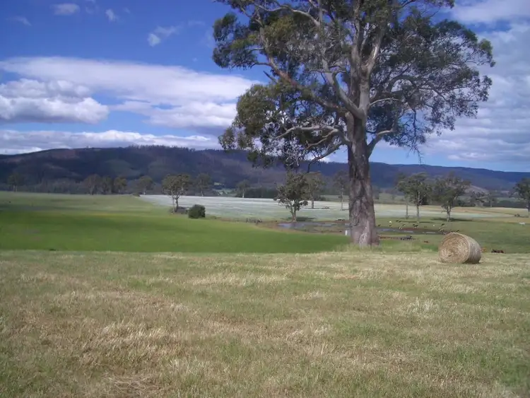 Third view of Homely house listing, 673 Legerwood Lane, Legerwood TAS 7263