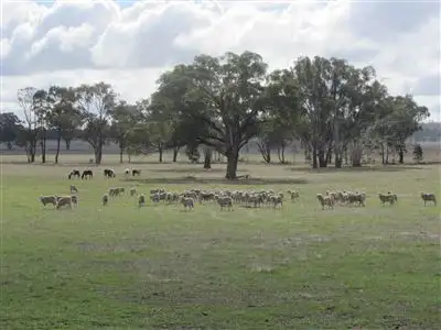 Fourth view of Homely rural property listing, 200 Plozzas Road, Violet Town VIC 3669