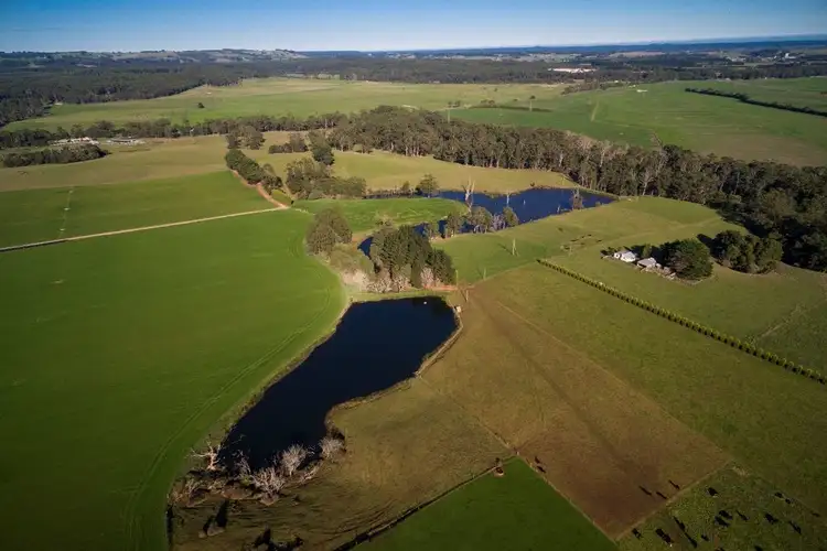Fourth view of Homely rural property listing, 218 Jocks Road, Forest TAS 7330