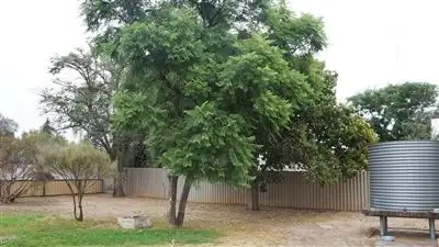 Second view of Homely house listing, 7 Todd Street, Merredin WA 6415