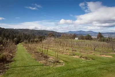 Fourth view of Homely house listing, 40 Archers Road, Franklin TAS 7113