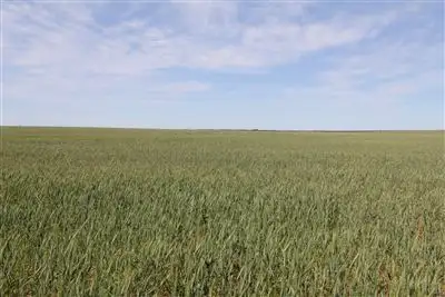 Sixth view of Homely rural property listing, "Ceduna" & "Koonibba", Ceduna SA 5690