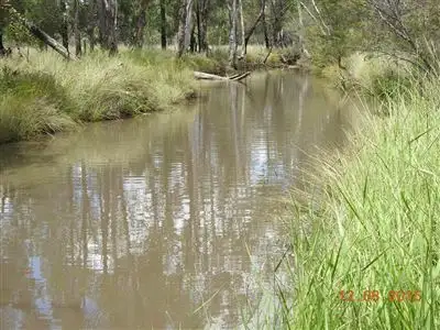 Sixth view of Homely rural property listing, 41 Krugers Rd, Chinchilla QLD 4413