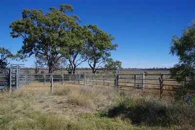 Seventh view of Homely rural property listing, 20841 Kamilaroi highway, Narrabri NSW 2390