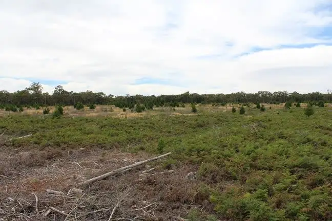 Fifth view of Homely rural property listing, 1 Dwyers Road, Merino VIC 3310