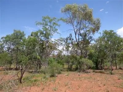 Fifth view of Homely rural property listing, . Greens Paddock, Bourke, Bourke NSW 2840