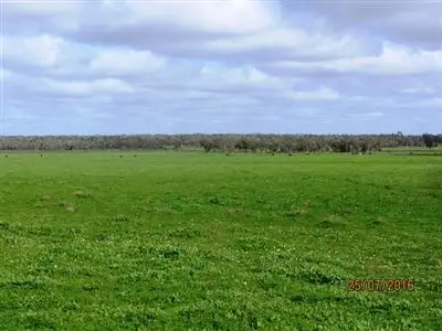 Sixth view of Homely rural property listing, * Koree, Cobar NSW 2835