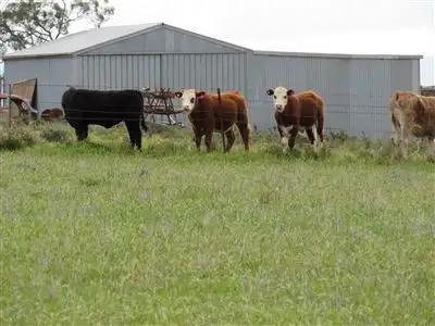 Seventh view of Homely land listing, 574 Hurlstone Street, Peterborough SA 5422