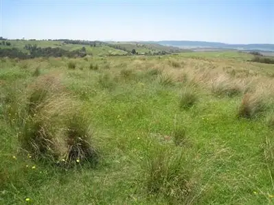 Second view of Homely rural property listing, Lots 28&74 Captains Flat Road, Harolds Cross, Braidwood NSW 2622