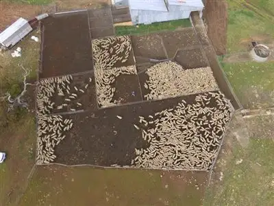 Sixth view of Homely rural property listing, 4855 Riddoch Highway, Padthaway SA 5271