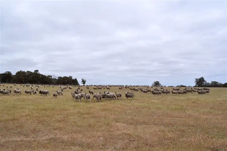 Third view of Homely rural property listing, ' Poppies', Bokal WA 6392