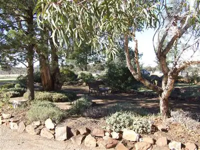 Fifth view of Homely rural property listing, 339 Pine Hill Road, Narrandera NSW 2700