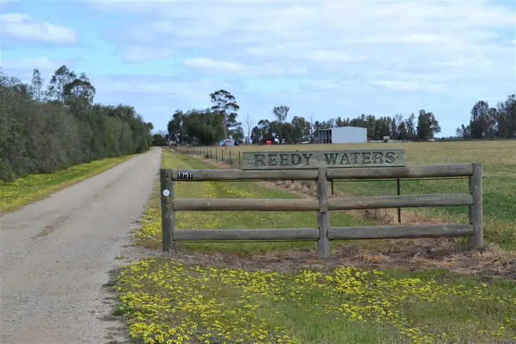 Main view of Homely rural property listing, 1751 Koondrook - Murrabit Road, Murrabit VIC 3579