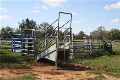 Fifth view of Homely rural property listing, 12505 Merri Merri Rd, Coonamble NSW 2829