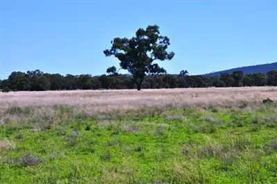 Fifth view of Homely rural property listing, * Hudsons, Nymagee, Cobar NSW 2835
