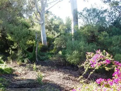 Sixth view of Homely rural property listing, 983 Ral Ral Avenue, Cooltong SA 5341