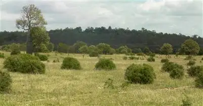 Seventh view of Homely rural property listing, 1200 Bundalba Road, Biloela QLD 4715