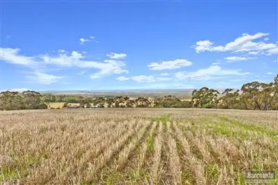 Main view of Homely rural property listing, 209 Moppa Road, Nuriootpa SA 5355