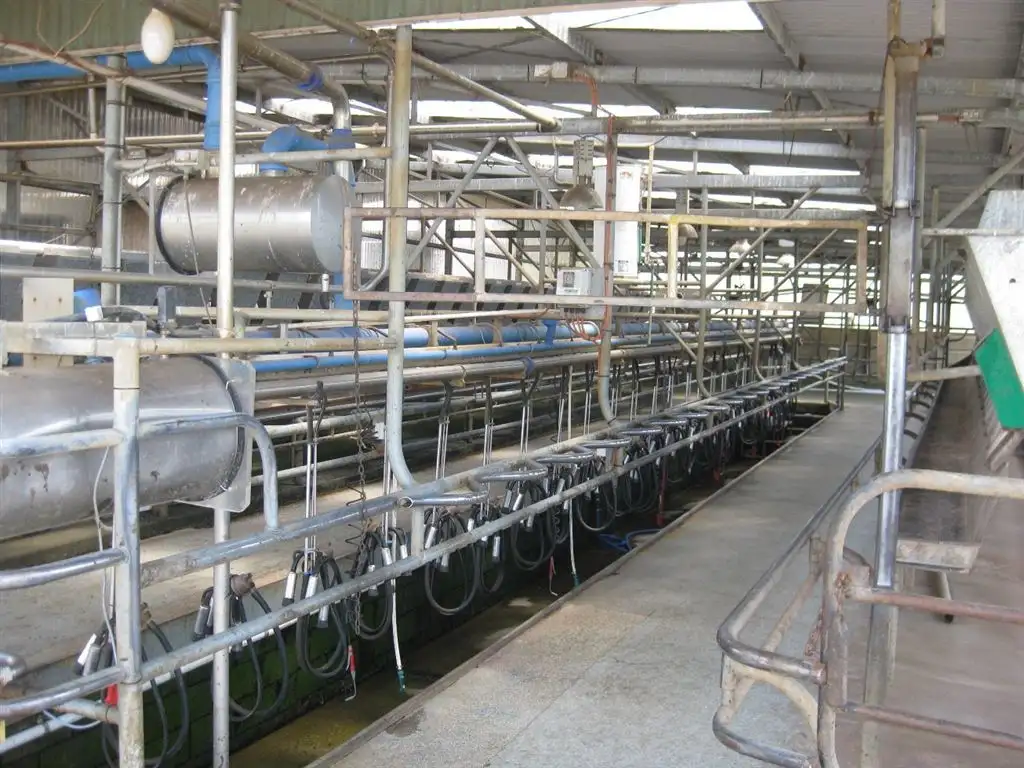 Main view of Homely rural property listing, 24610 Bass Highway, Brittons Swamp TAS 7330