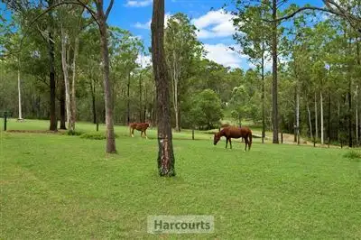Second view of Homely rural property listing, 1053 Teviot Road, South Maclean QLD 4280