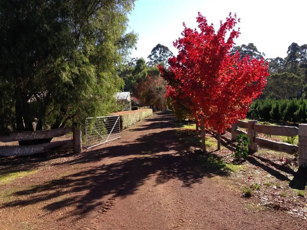 Main view of Homely rural property listing, 32 Parkland View, Manjimup WA 6258