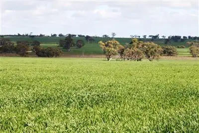 Fourth view of Homely rural property listing, Address available on request