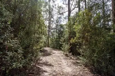 Fourth view of Homely land listing, - Constance Road, Cygnet TAS 7112
