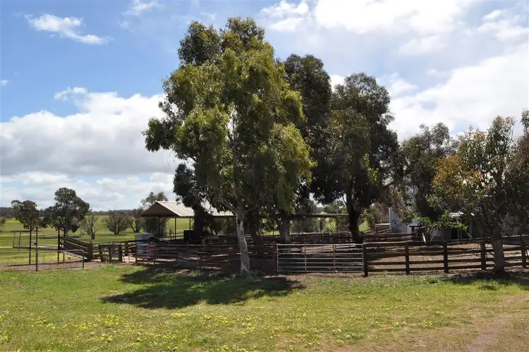 Fourth view of Homely rural property listing, ' Myola', Duranillin WA 6393