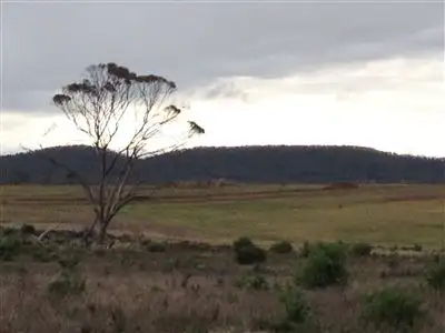 Main view of Homely land listing, L409 Jamieson Street, Ravensthorpe WA 6346
