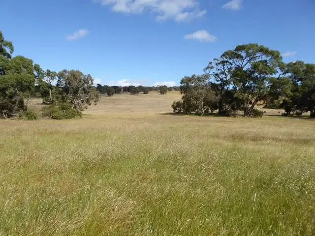 4712 Naracoorte Road, Naracoorte SA 5271