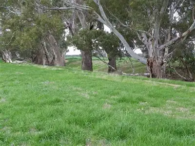 Sixth view of Homely rural property listing, Lot 3 & 4 Elmore - Barnadown Road, Elmore VIC 3558
