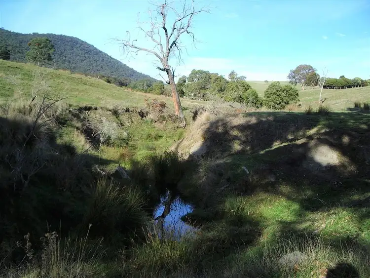 Seventh view of Homely rural property listing, 530 Hammonds Road, Ensay VIC 3895