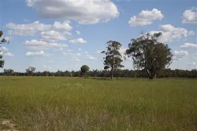 Fifth view of Homely rural property listing, 2554 East Coonamble Rd, Curban NSW 2827