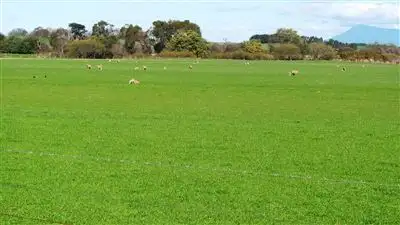 Second view of Homely rural property listing, . Oaks Road, Bracknell TAS 7302