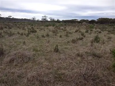 Fifth view of Homely land listing, L409 Jamieson Street, Ravensthorpe WA 6346