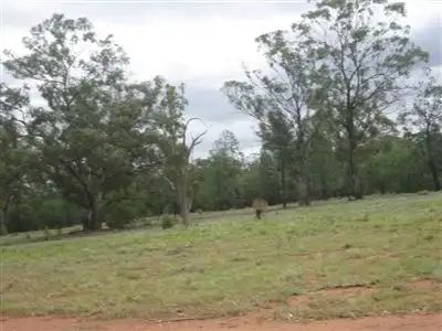 Third view of Homely rural property listing, " Hudsons Tank", Nyngan NSW 2825