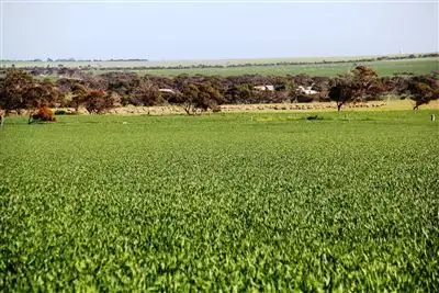 Main view of Homely rural property listing, 173 Didlyamulka road, Koolywurtie SA 5575