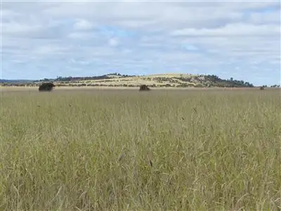 Seventh view of Homely rural property listing, . "Waterview", Injune QLD 4454