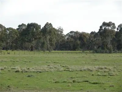 Main view of Homely rural property listing, CRN Northern Highway & Toolleen Axedale Road, Toolleen VIC 3551