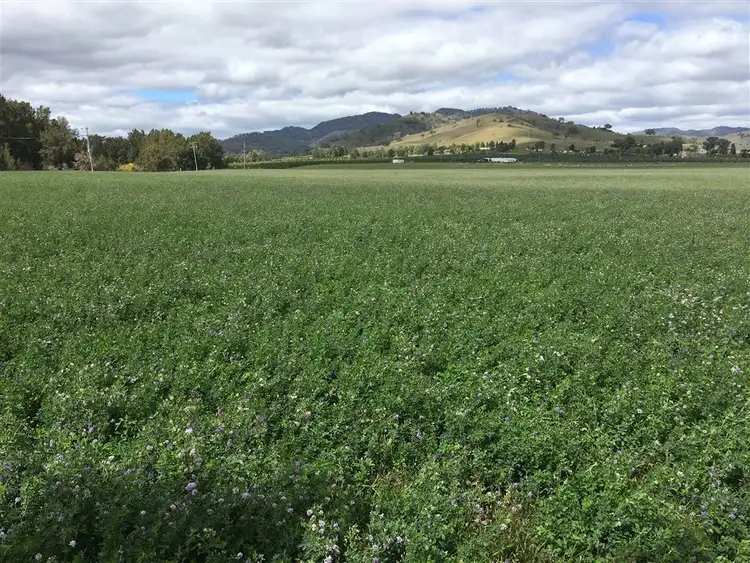 931 'Mullamuddy Farm' Castlereagh Highway, Mudgee NSW 2850