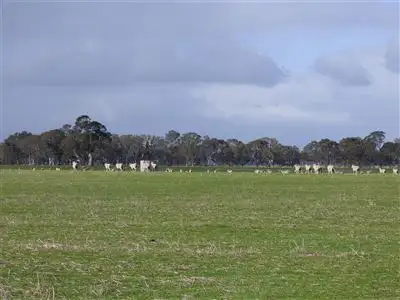 Sixth view of Homely rural property listing, 156 Benayeo Road, Apsley VIC 3319