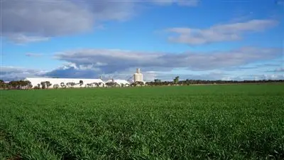 Fourth view of Homely rural property listing, 1439 Beaton Road, Southern Cross WA 6426