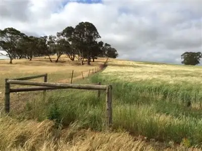 Sixth view of Homely rural property listing, Sec 597 Horrocks Hwy, Rhynie SA 5412