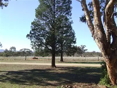 Second view of Homely rural property listing, 339 Pine Hill Road, Narrandera NSW 2700