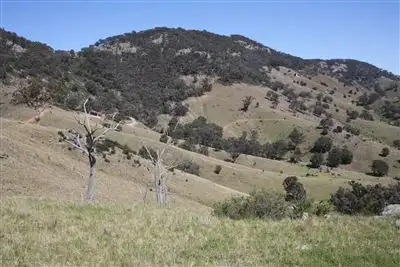 Fifth view of Homely rural property listing, 1534 Castlereagh Highway, Mudgee NSW 2850