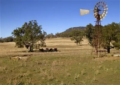 Main view of Homely rural property listing, 1300 Warrah Creek Road, Willow Tree NSW 2339