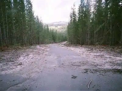 Third view of Homely rural property listing, 0 Harveys Road, Carrajung VIC 3971