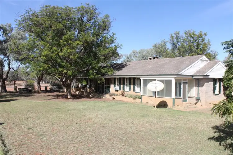 Third view of Homely rural property listing, . Talyealye & Karto, Hungerford QLD 4493