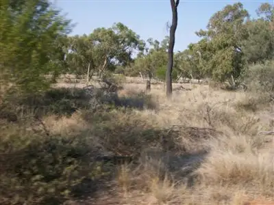 Sixth view of Homely rural property listing, . Number 8, Wyandra QLD 4489
