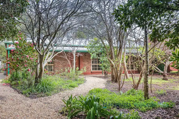 3 Cummins Drive, Summertown SA 5141